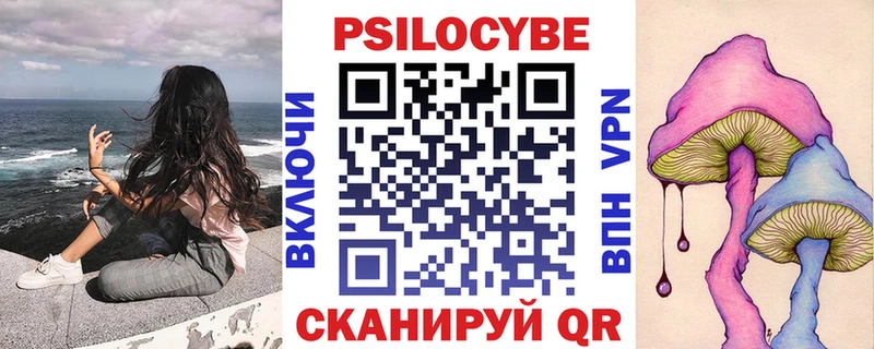 сколько стоит  Ковров  гидра маркетплейс  даркнет состав  Галлюциногенные грибы мицелий 